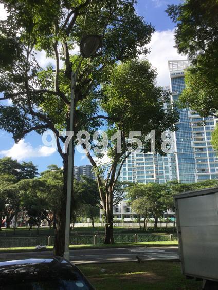 Blk 34 Whampoa West (Kallang/Whampoa), HDB 3 Rooms #137397742